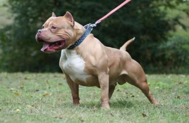 �й��������Ĺ�ʮ������ �����͵�Ȯ���а�ǰʮ��