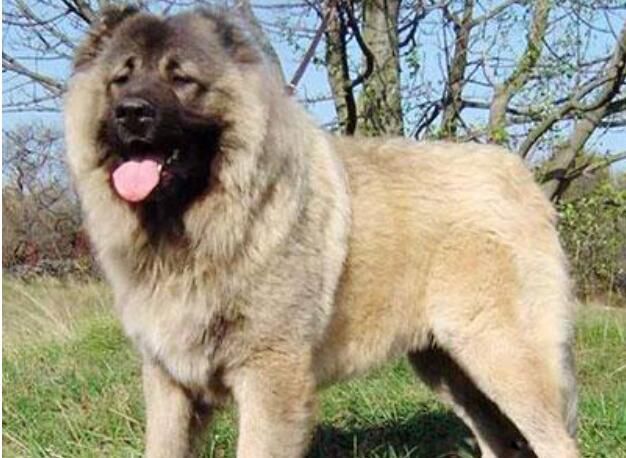 �й��������Ĺ�ʮ������ �����͵�Ȯ���а�ǰʮ��