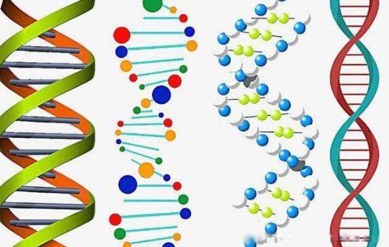 中国古代伏羲女娲交尾图 伏羲女娲图和dna巧合恐怖细节