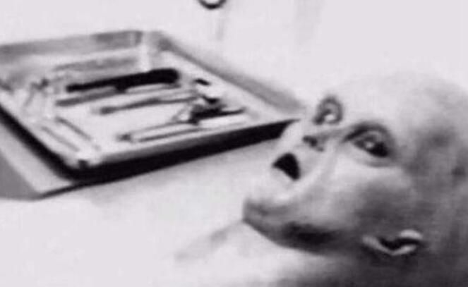 ��˹�����¼����������� 1947����˹�����ɵ�׹���¼�����