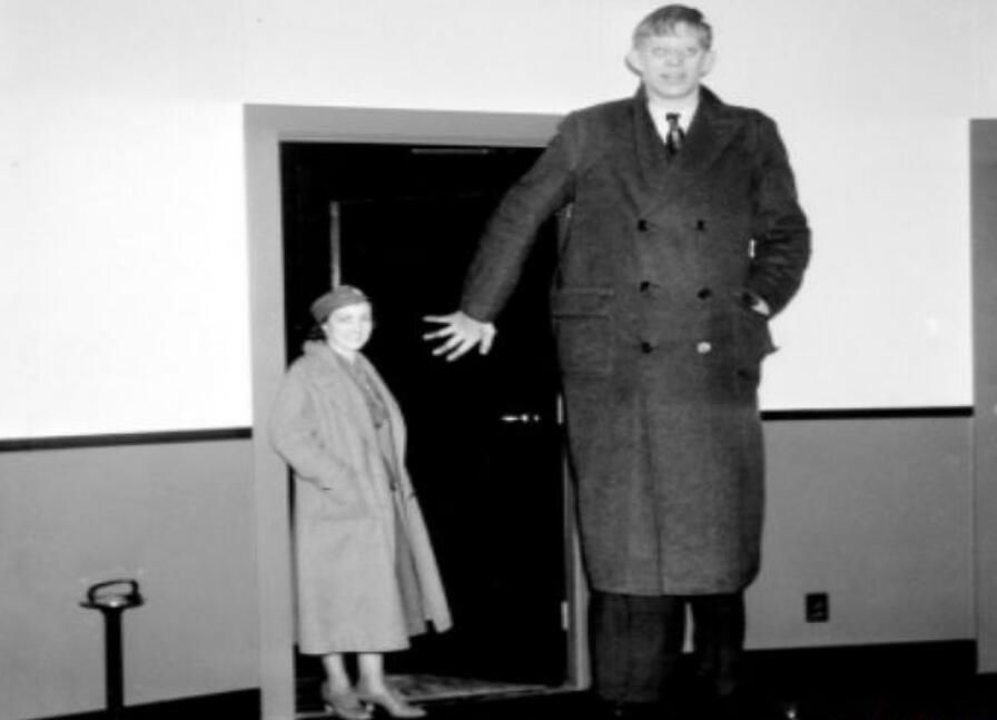 ��ߵ�����˭�м��׸� ������5����ߵ���