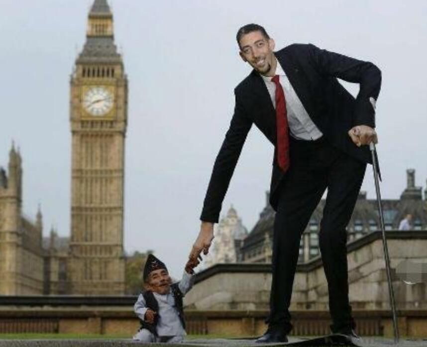 ��ߵ�����˭�м��׸� ������5����ߵ���