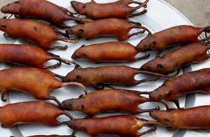 ��֨��������Ĳ� ��С������֨���Ե�����������