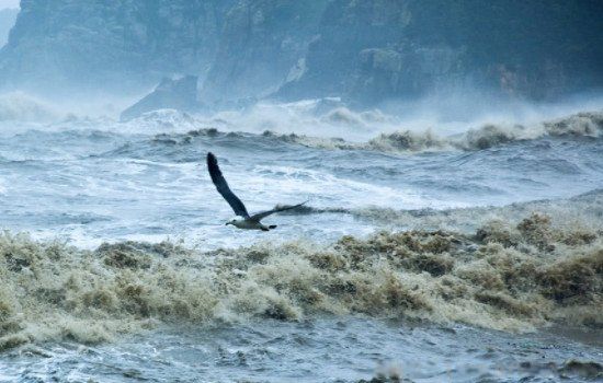 Ϊʲôȫ����ʷǰ���ˮ��˵ ʷǰ���ˮ��Ĵ�����