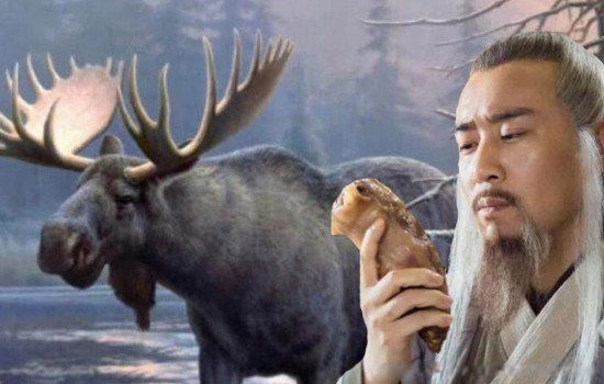 姜子牙的坐骑四不像是什么动物 俗称四不像的动物是麋鹿吗