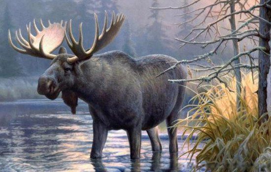 姜子牙的坐骑四不像是什么动物 俗称四不像的动物是麋鹿吗