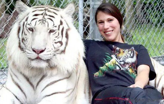 Զ�����Ǿ޻���Ĵ����� ר�Զ������ľ޻���ʲô��