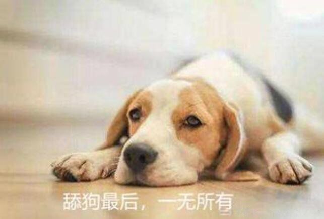 现在说的舔狗是什么意思 到底什么是舔狗