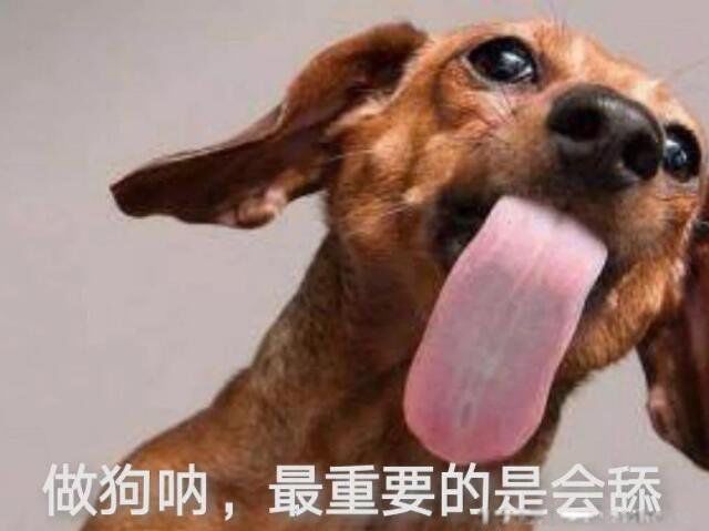 现在说的舔狗是什么意思 到底什么是舔狗