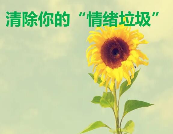 ������ʲô��˼ �������������ɶ��˼����