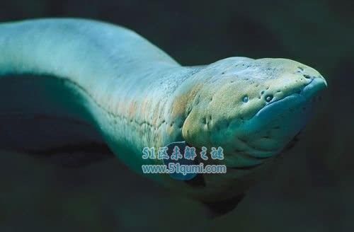 ��ʵ������ʲô���ӵ�ͼƬ ����Ϊʲô��ŵ��ܵ�������