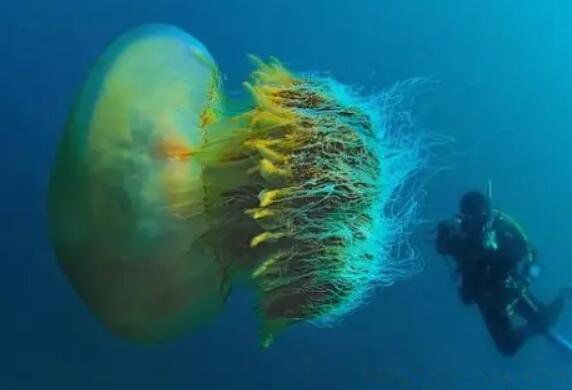 ����ϼˮĸ�����Ķ���֮һ�� �Ǹ�������һ��ʲô����