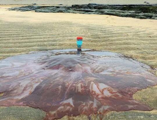 ����ϼˮĸ�����Ķ���֮һ�� �Ǹ�������һ��ʲô����