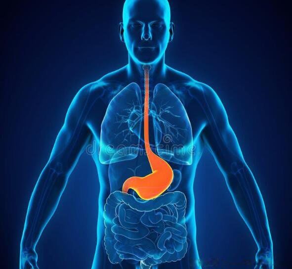 θ�������ĸ���λ��׼ȷ��ͼ ������θ��ʲôλ��ͼƬ