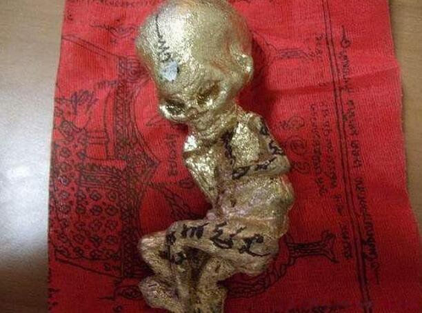 ��С��������ʲô�о� ������С�����ŵļ�������