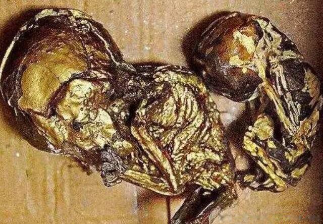 ��С��������ʲô�о� ������С�����ŵļ�������