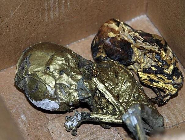 ��С��������ʲô�о� ������С�����ŵļ�������