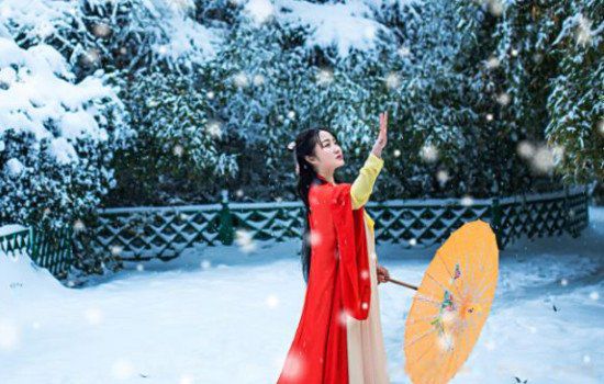 描写冬天雪景的优美句子 12句形容冬天雪景的诗句