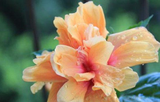 ���ﲻ����ʲô�� ������ò�Ҫ���Ļ�������