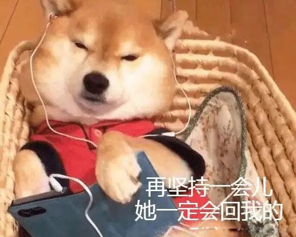恋爱中的舔狗是什么意思 如果一个男生跟你说舔狗