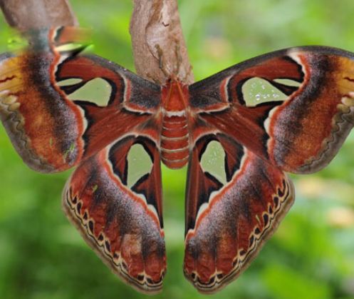 �����϶��ǹ��Ҽ����������� ���������ж೤ʱ��