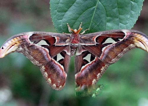 �����϶��ǹ��Ҽ����������� ���������ж೤ʱ��