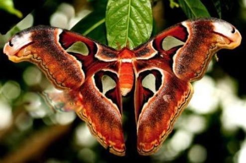 �����϶��ǹ��Ҽ����������� ���������ж೤ʱ��