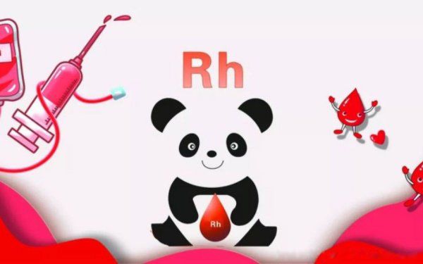 熊猫血是什么星座的 特殊血型熊猫血很罕见吗