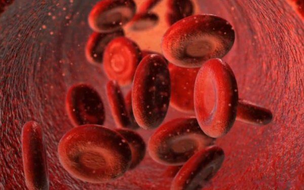 熊猫血是什么星座的 特殊血型熊猫血很罕见吗