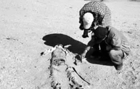 ����ľ����������Ϊ�β�׷�� ���Ǳ����ѳ����������