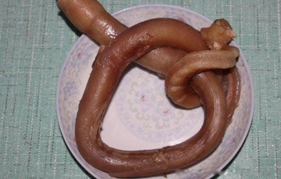 ţ����ʲô��λͼƬ �����������˵��Թ�����