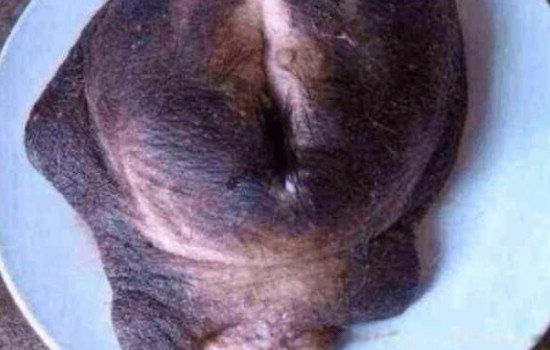 ţ����ʲô��λͼƬ �����������˵��Թ�����