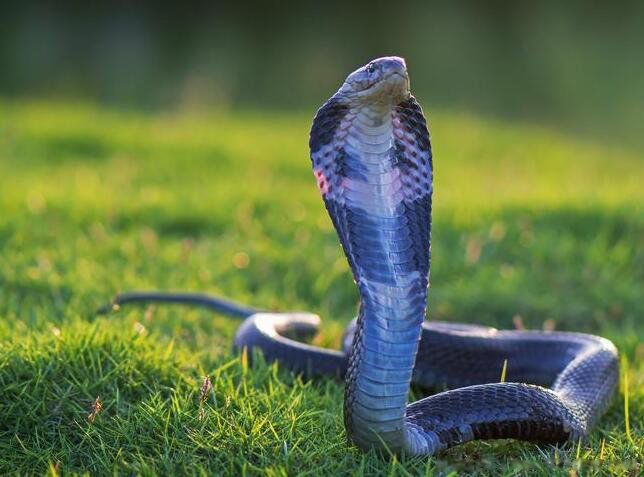 ���ߴ���ָʲô��λ Ϊʲô˵���ߴ��ߴ���ʲô��˼