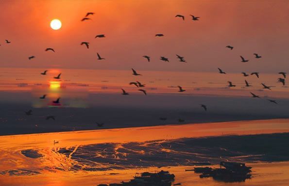 �й���ˮ������ǰ���� �й���ˮ���������ĸ�