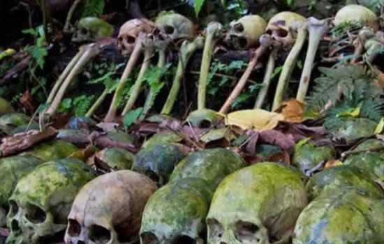 2022������ĩ����ҥ���� ��ļٵĻ�ʵ����