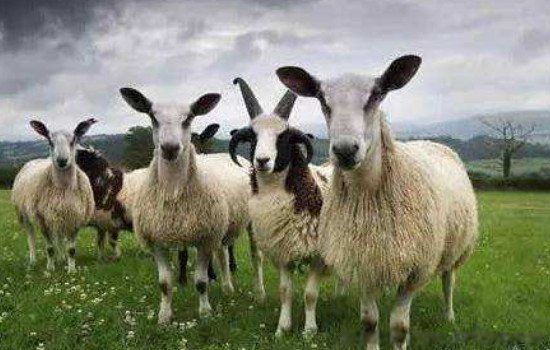 ������������������ ������2022���°�������