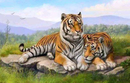 ������������������ ������2022���°�������