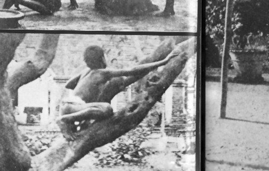 �й��Ǻ�����ʵ���� �Ǻ�С�����������������