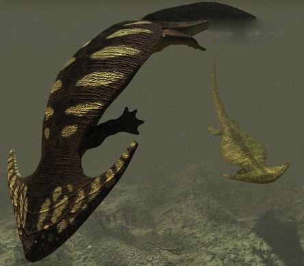 笠头螈灭绝了吗 笠头螈图片是什么