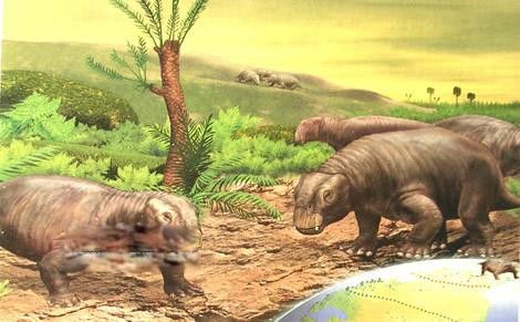 ��ͷ�������� ��ͷ�ͼƬ��ʲô