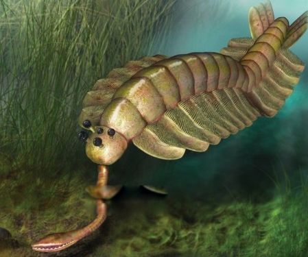 笠头螈灭绝了吗 笠头螈图片是什么