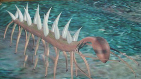 ��ͷ�������� ��ͷ�ͼƬ��ʲô