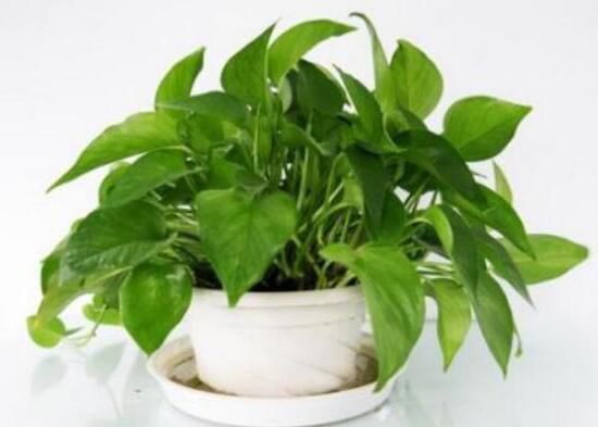 10�������й��Ļ� �����������Ư���Ļ�