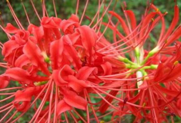 10�������й��Ļ� �����������Ư���Ļ�