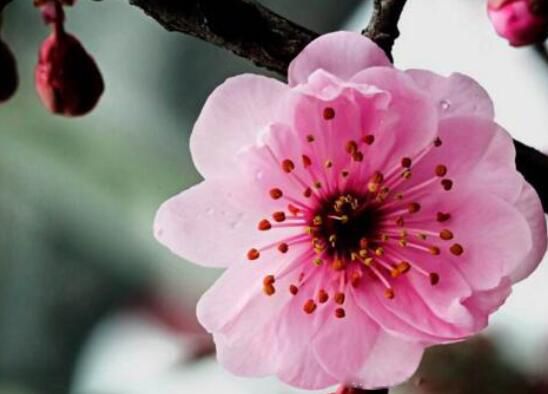 10�������й��Ļ� �����������Ư���Ļ�