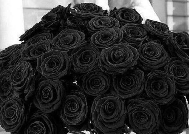 10�������й��Ļ� �����������Ư���Ļ�