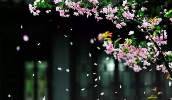 10�������й��Ļ� �����������Ư���Ļ�