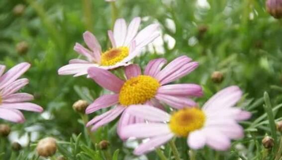 10�������й��Ļ� �����������Ư���Ļ�