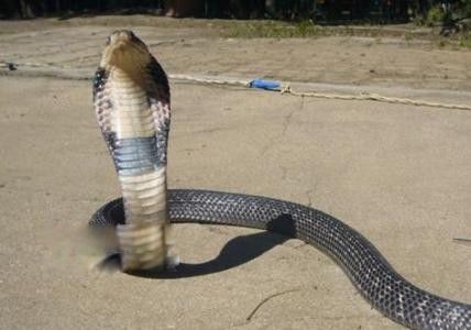 ������������� ȫ������Ĵ���