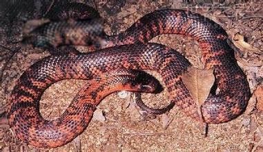 ������������� ȫ������Ĵ���